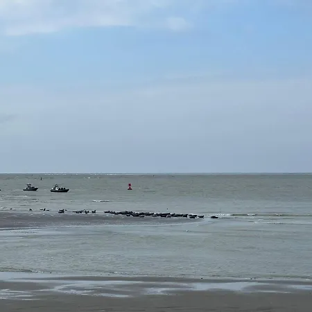 A 50m Reves Ensables Les Bains De Мер-ле-Бен