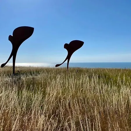 A 50m Reves Ensables Les Bains De Apartament Mers-les-Bains